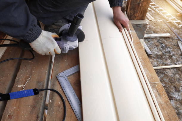 Best Siding Repair  in Southmont, PA